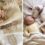 Fʀɪɢʜᴛᴇɴᴇᴅ Rᴇsᴄᴜᴇ Dog Adopts A Sweet Baby Boy As Her Comforting Loyal Sidekick